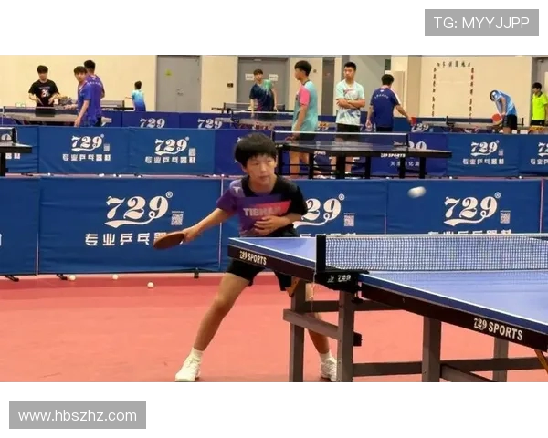 乒乓球的魅力与精神：深入成都乒乓球队的训练与文化探讨