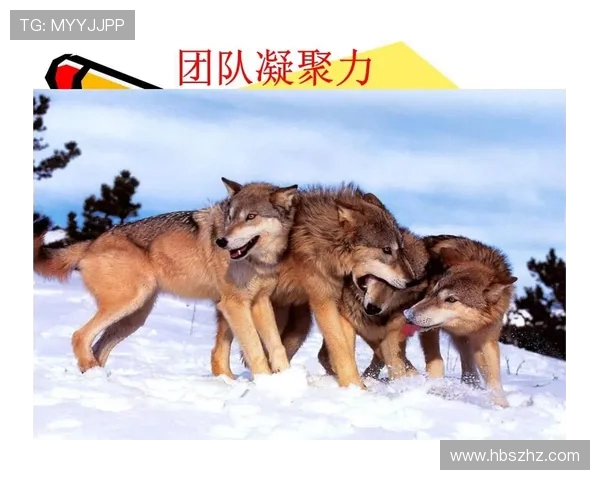 西安网球队的意识提升与团队凝聚力探讨聚焦网球发展新方向