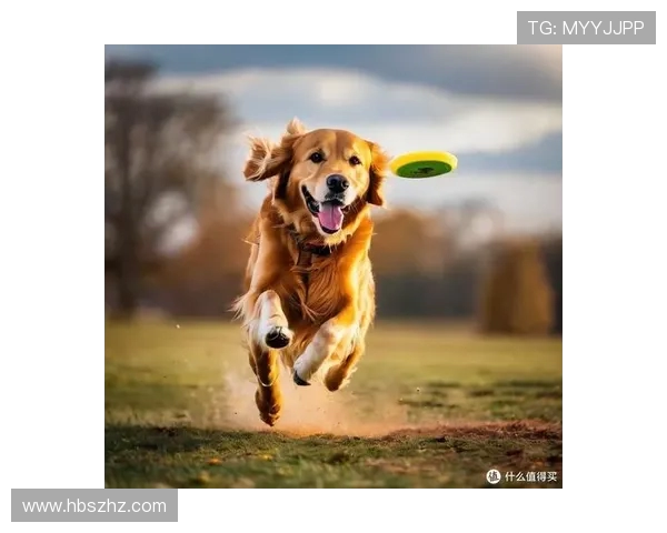 重庆飞盘队在世界攀岩锦标赛中的团队协作表现值得赞赏与反思